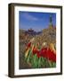 Manshir Monastery, Tov Province, Mongolia, Asia-Bruno Morandi-Framed Photographic Print