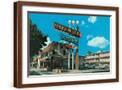 Brown Frame