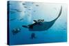 Manta and Diver on the Blue Background-Krzysztof Odziomek-Stretched Canvas