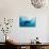 Manta and Diver on the Blue Background-Krzysztof Odziomek-Photographic Print displayed on a wall