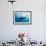Manta and Diver on the Blue Background-Krzysztof Odziomek-Framed Photographic Print displayed on a wall