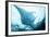 Manta Ray in Feeding Mode, from Underneath-null-Framed Photographic Print