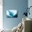 Manta Ray in Feeding Mode, from Underneath-null-Mounted Photographic Print displayed on a wall