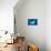 Manta Ray, Micronesia, Yap-Stuart Westmorland-Mounted Photographic Print displayed on a wall