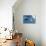 Manta Ray Off Coast of Isla Mujeres, Mexic-null-Stretched Canvas displayed on a wall