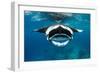 Manta ray with mouth open feeding on plankton, Maldives-Alex Mustard-Framed Photographic Print