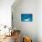 Manta Ray with Remora (Manta Birostris)-Reinhard Dirscherl-Stretched Canvas displayed on a wall