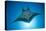 Manta Ray with Remora (Manta Birostris)-Reinhard Dirscherl-Stretched Canvas