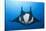 Manta Ray with Remora (Manta Birostris)-Reinhard Dirscherl-Stretched Canvas