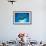 Manta Ray with Remora (Manta Birostris)-Reinhard Dirscherl-Framed Photographic Print displayed on a wall