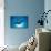 Manta Ray with Remora (Manta Birostris)-Reinhard Dirscherl-Mounted Photographic Print displayed on a wall