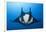 Manta Ray with Remora (Manta Birostris)-Reinhard Dirscherl-Framed Photographic Print