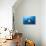 Manta Ray with Remora (Manta Birostris)-Reinhard Dirscherl-Photographic Print displayed on a wall