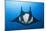 Manta Ray with Remora (Manta Birostris)-Reinhard Dirscherl-Mounted Photographic Print