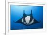 Manta Ray with Remora (Manta Birostris)-Reinhard Dirscherl-Framed Photographic Print