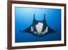 Manta Ray with Remora (Manta Birostris)-Reinhard Dirscherl-Framed Photographic Print