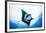 Manta Ray-Stuart Westmorland-Framed Photographic Print