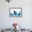 Manta Ray-Stuart Westmorland-Framed Photographic Print displayed on a wall
