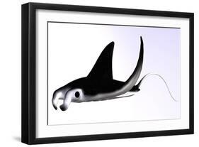 Manta Ray-null-Framed Art Print