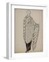 Manteau de fourrure, intérieur doublé façon kimono-Madeleine Vionnet-Framed Giclee Print