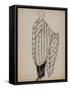 Manteau de fourrure, intérieur doublé façon kimono-Madeleine Vionnet-Framed Stretched Canvas