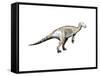 Mantellisaurus Dinosaur-null-Framed Stretched Canvas