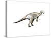 Mantellisaurus Dinosaur-null-Stretched Canvas