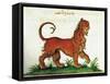 Manticore, Legendary Creature-Science Source-Framed Stretched Canvas