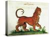 Manticore, Legendary Creature-Science Source-Stretched Canvas