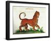 Manticore, Legendary Creature-Science Source-Framed Giclee Print