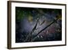 Mantis in the Rain-Antonio Grambone-Framed Photographic Print