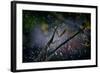 Mantis in the Rain-Antonio Grambone-Framed Photographic Print