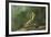 Mantis Religiosa (Praying Mantis) - in Defensive Posture, Threat Display-Paul Starosta-Framed Photographic Print