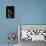 Mantis Religiosa (Praying Mantis) --Paul Starosta-Stretched Canvas displayed on a wall