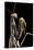 Mantis Religiosa (Praying Mantis) --Paul Starosta-Stretched Canvas