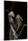Mantis Religiosa (Praying Mantis) --Paul Starosta-Mounted Photographic Print