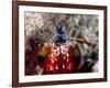 Mantis Shrimp-null-Framed Photographic Print