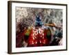 Mantis Shrimp-null-Framed Photographic Print