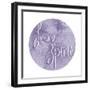 Mantra - Spirit-Sasha Blake-Framed Giclee Print