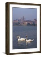 Mantua Swans-Charles Bowman-Framed Photographic Print