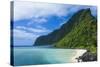 Manu'A Island Group, American Samoa, South Pacific-Michael Runkel-Stretched Canvas