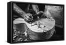 Framed Canvas