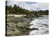 Manuel Antonio National Park, Costa Rica, Central America-R H Productions-Stretched Canvas