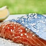 Salmon with Salt-Manuel Krug-Stretched Canvas