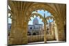 Manueline Ornamentation in the Cloisters of Mosteiro Dos Jeronimos (Monastery of the Hieronymites)-G&M Therin-Weise-Mounted Photographic Print