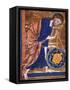 Manuscript Illumination-null-Framed Stretched Canvas