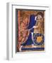 Manuscript Illumination-null-Framed Premium Giclee Print