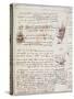 Manuscript Page from Codici Rari III 35.2-Leonardo da Vinci-Stretched Canvas