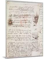 Manuscript Page from Codici Rari III 35.2-Leonardo da Vinci-Mounted Giclee Print