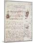 Manuscript Page from Codici Rari III 35.2-Leonardo da Vinci-Mounted Giclee Print